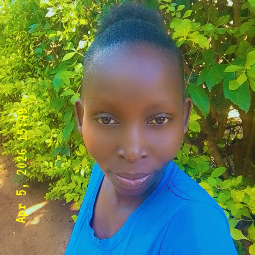 Catherine N. profile photo