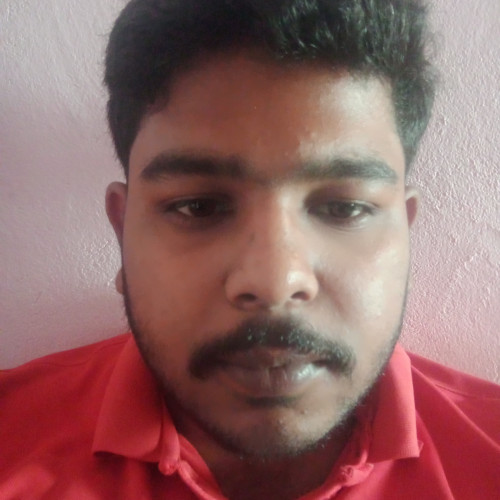 king R. profile photo