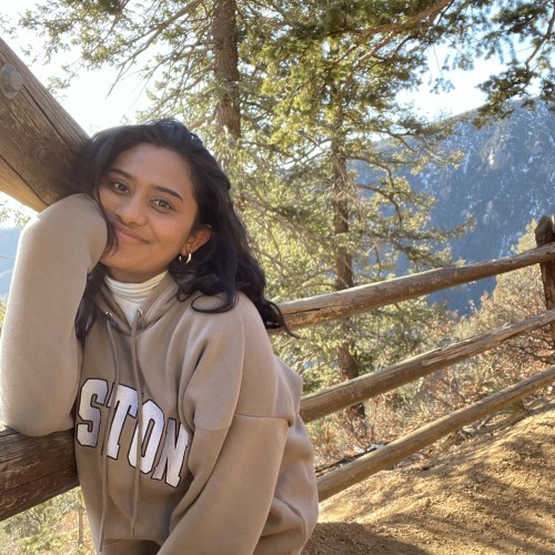 Gigi N. profile photo