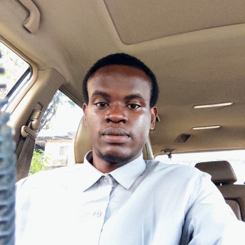 Ayoola  P. profile photo