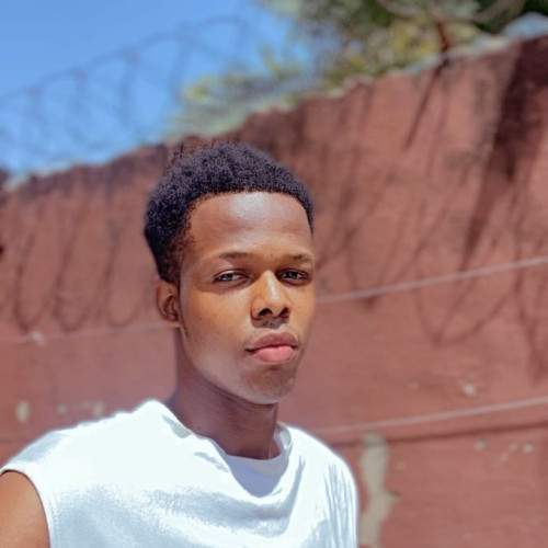 Alex D. profile photo