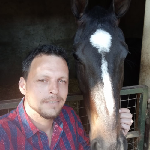 Hernan  A. profile photo