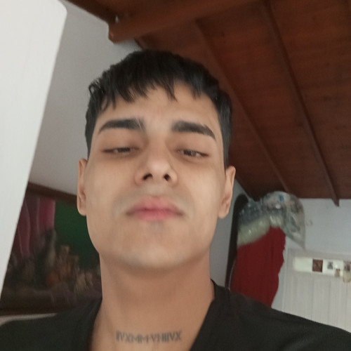 Alexis T. profile photo