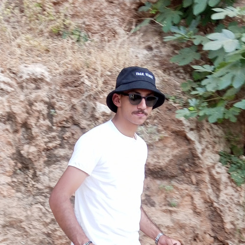 lemfaddel e. profile photo