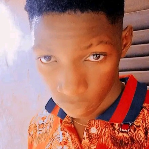 Ifeanyi  E. profile photo