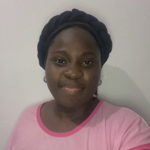 Oyindamola A. profile photo