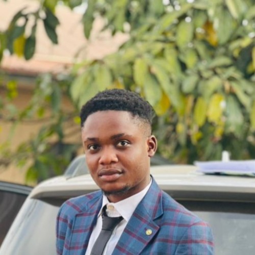 Damola O. profile photo