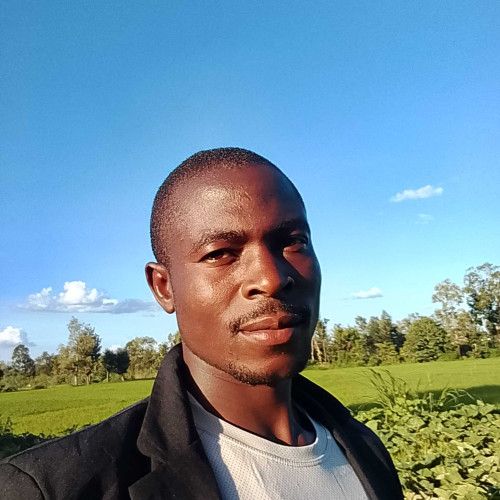 Lewis l. profile photo