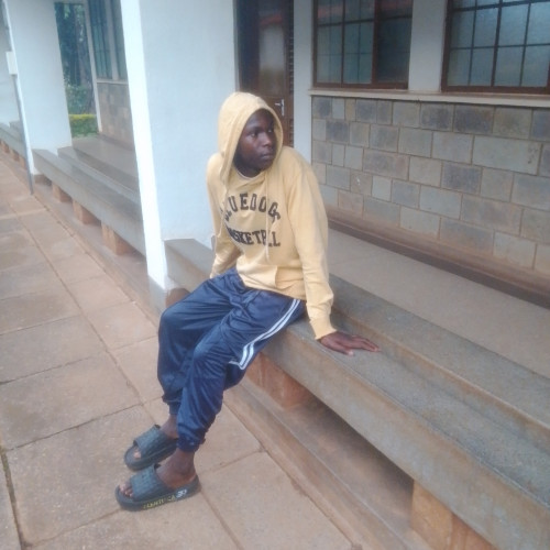 Edina M. profile photo