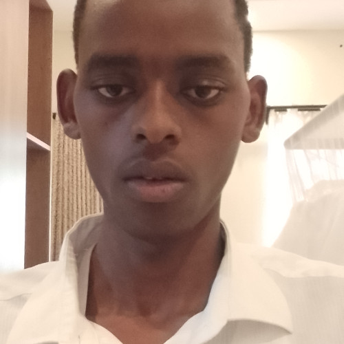 Kiken K. profile photo