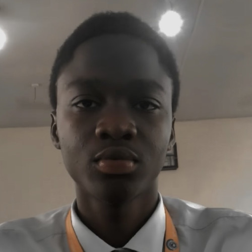 Oluwanifemi  A. profile photo