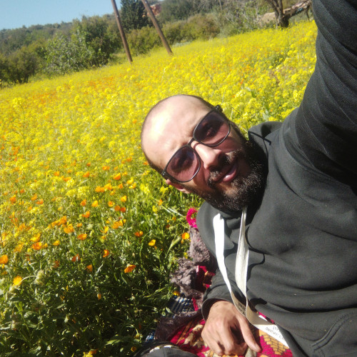 saadi s.