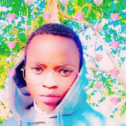Darwin A. profile photo