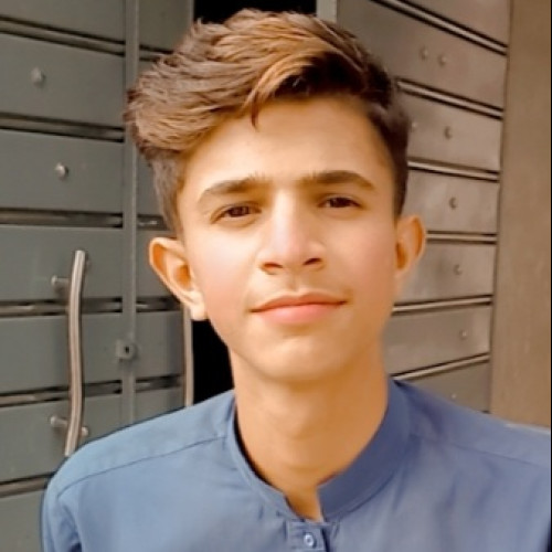 Araib T. profile photo