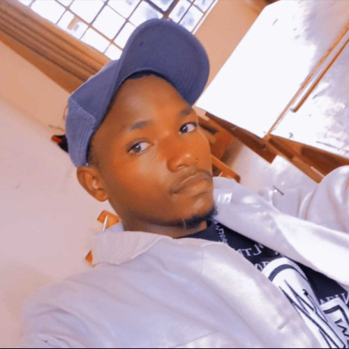 musyoka n. profile photo