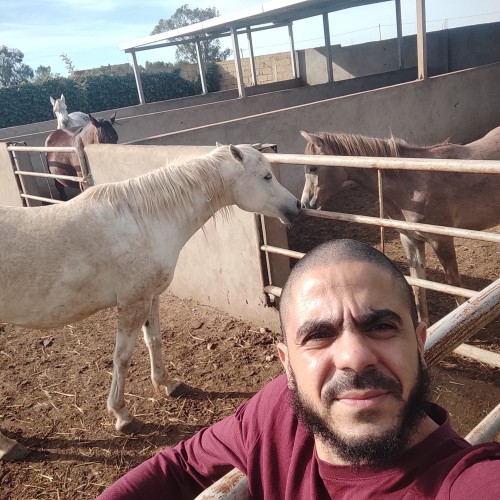 Mouad  E. profile photo