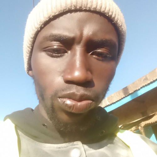 peter m. profile photo