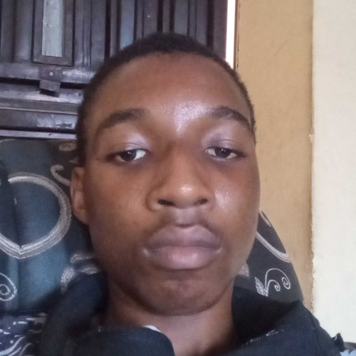 Oyebola E. profile photo