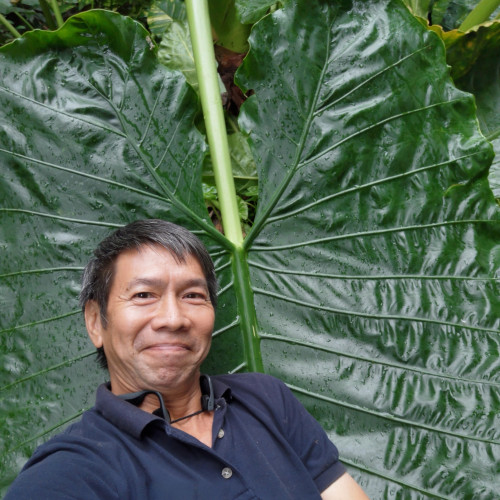 Tommy W. profile photo