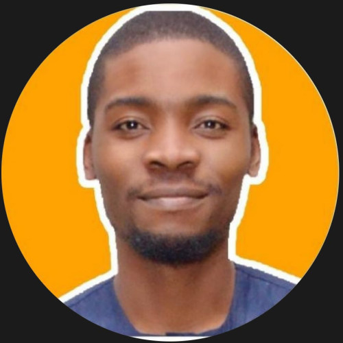 Ikenna Fidelis O. profile photo