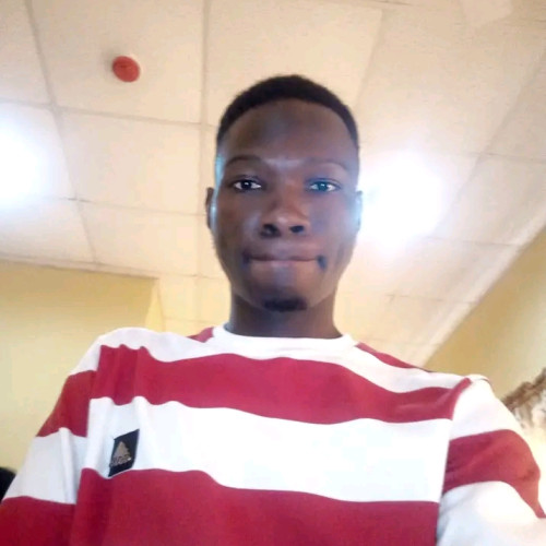 Temitayo O. profile photo