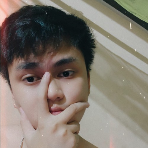 Thoi S. profile photo