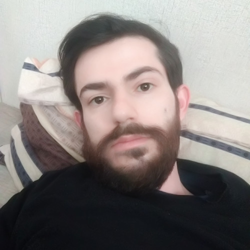 pouria s. profile photo