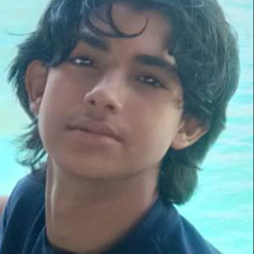 Chris L. profile photo