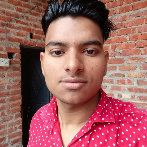 Himanshu T.