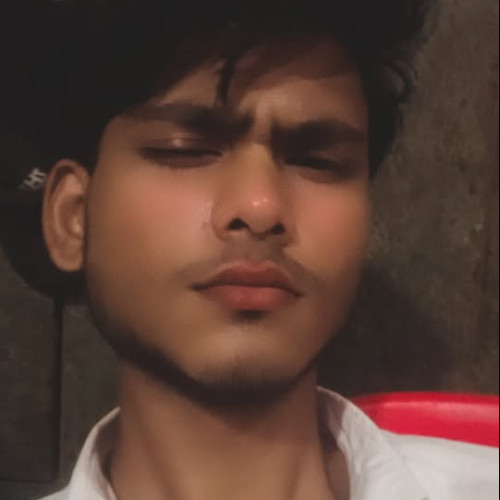 Himanshu  S. profile photo
