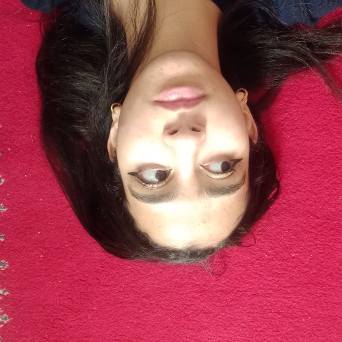 Sal N. profile photo