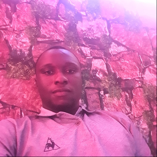 Peter  F. profile photo