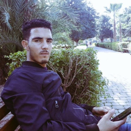 Bouzerad L.