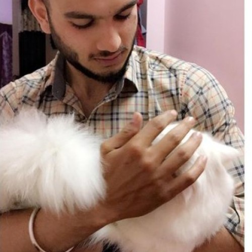 Shahid K.