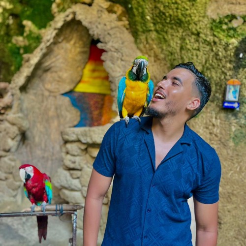 LAHCEN o. profile photo