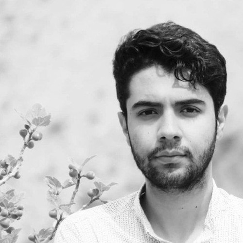 alireza s. profile photo
