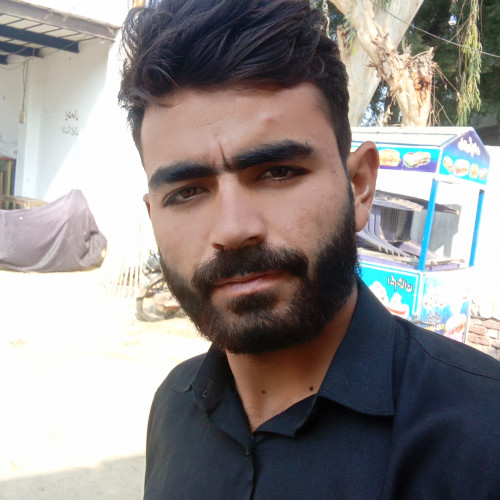 Samran K. profile photo