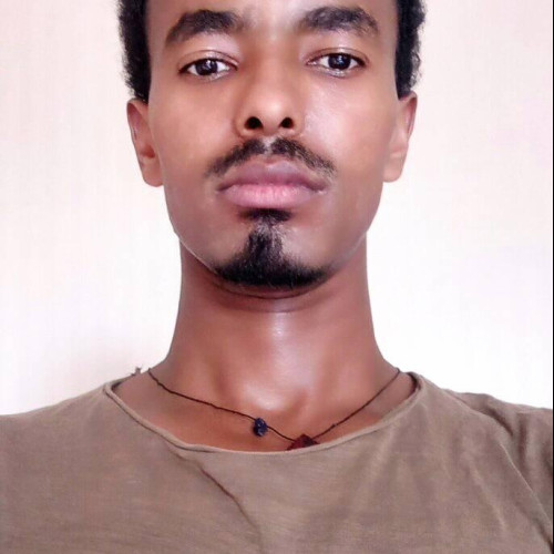 mitku M. profile photo