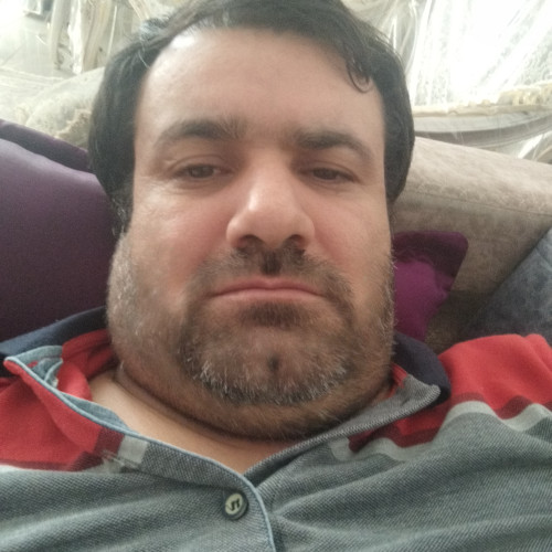 ali t. profile photo