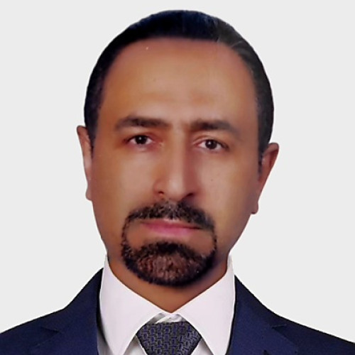 alireza p. profile photo