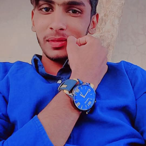 Mir W.