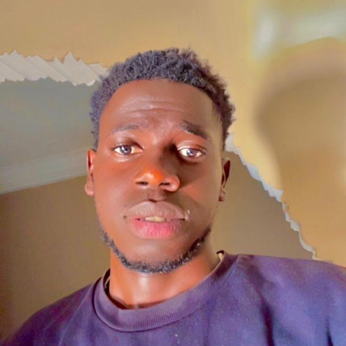 Lamin C. profile photo
