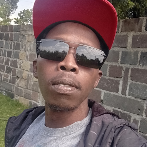 Moses M. profile photo