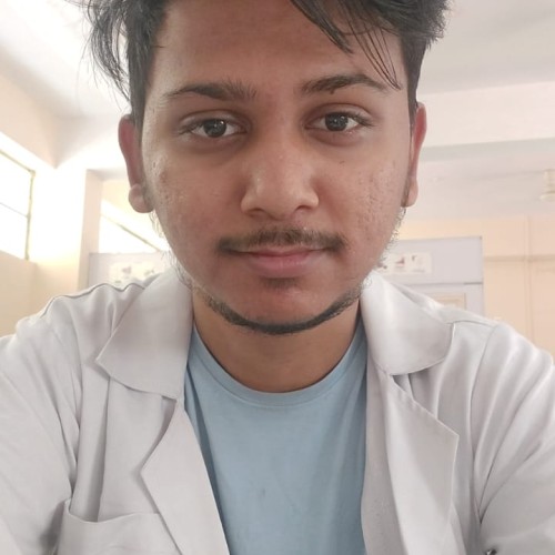 Ayush S. profile photo