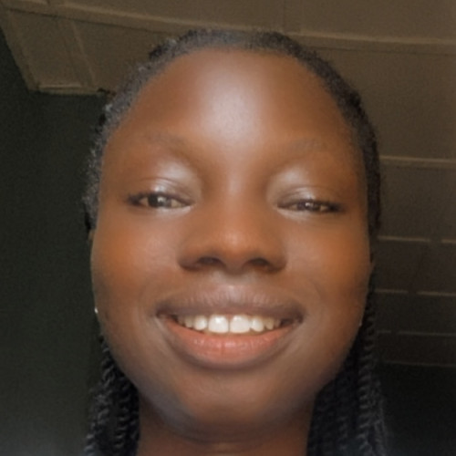 Oluwaseun I.
