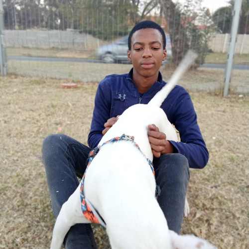 Oratilwe S. profile photo