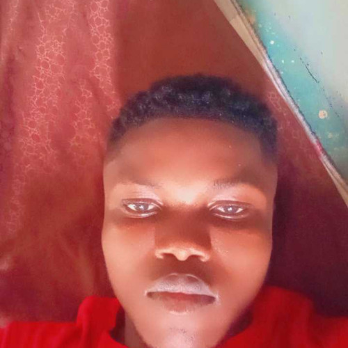 seedoff o. profile photo