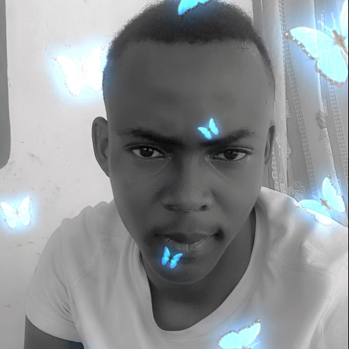 Daniel W. profile photo