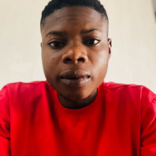 Kolawole S. profile photo