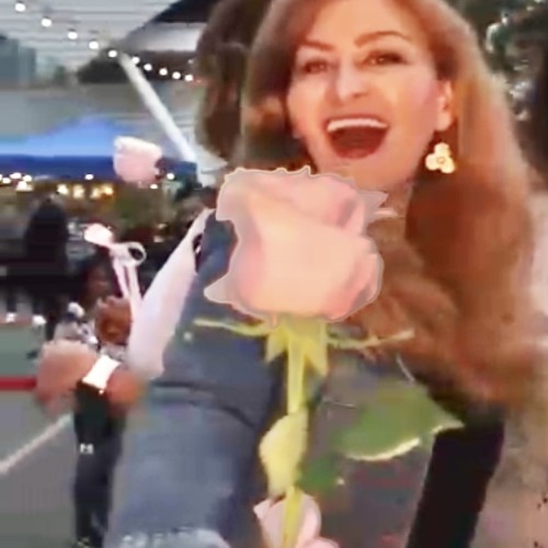 Farah  P.